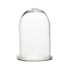 Affari Glass Bell Jar With Tray- Medium Homeware