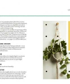 Bookspeed Hi Cacti - Growing Houseplants And Happiness