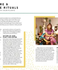 Bookspeed Hi Cacti - Growing Houseplants And Happiness