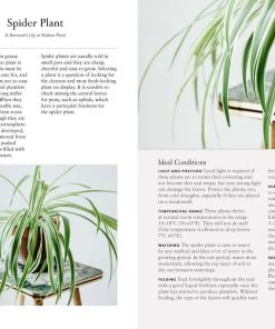 Bookspeed Dr Houseplant Book Plant Accessories & Care