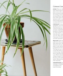 Bookspeed Dr Houseplant Book Plant Accessories & Care