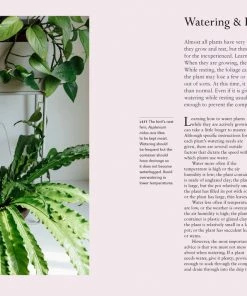 Bookspeed Dr Houseplant Book Plant Accessories & Care