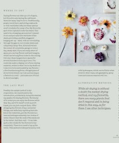 Bookspeed Dried Flowers Everlastings Dried Flower Book By Bex Partridge 9 Bookspeed Dried Flowers Everlastings Dried Flower Book By Bex Partridge