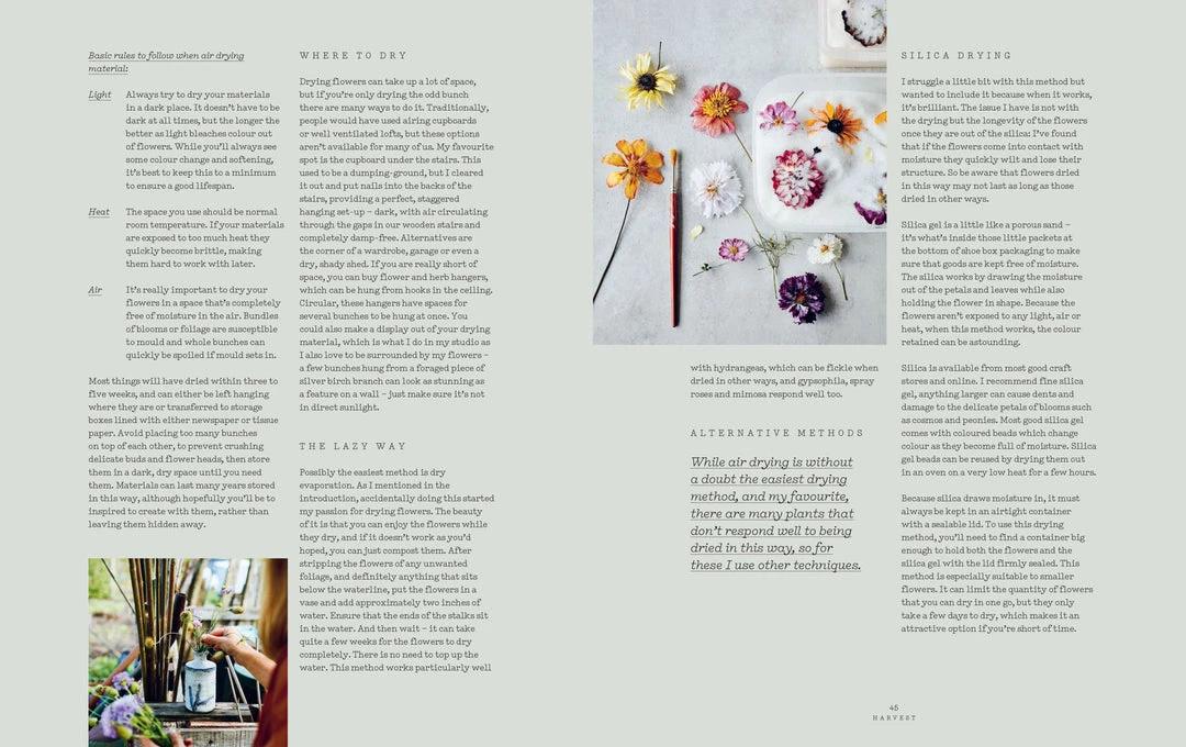 Bookspeed Dried Flowers Everlastings Dried Flower Book By Bex Partridge 5 Bookspeed Dried Flowers Everlastings Dried Flower Book By Bex Partridge