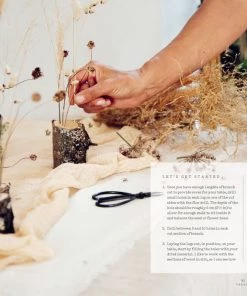 Bookspeed Dried Flowers Everlastings Dried Flower Book By Bex Partridge 11 Bookspeed Dried Flowers Everlastings Dried Flower Book By Bex Partridge