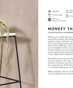 Bookspeed The Little Book Of Big Plants