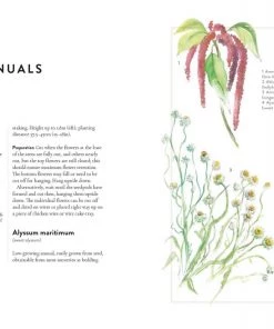 Bookspeed Dried Flowers Forever Flowers