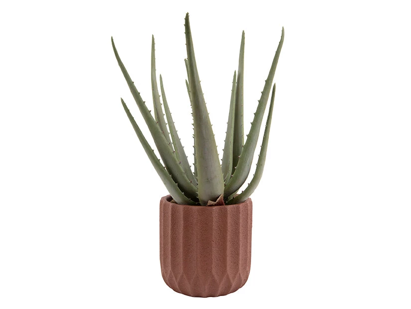 Present Time Small Stripes Cement Plant Pot (available In 2 Colours) Plant Pots 6 Present Time Small Stripes Cement Plant Pot (available In 2 Colours) Plant Pots
