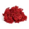 Atlas Flowers Dried Reindeer Moss