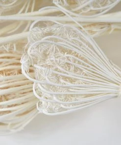 Atlas Flowers Dried Bleached Fennel Dried Flowers