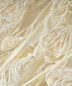 Atlas Flowers Dried Bleached Fennel Dried Flowers