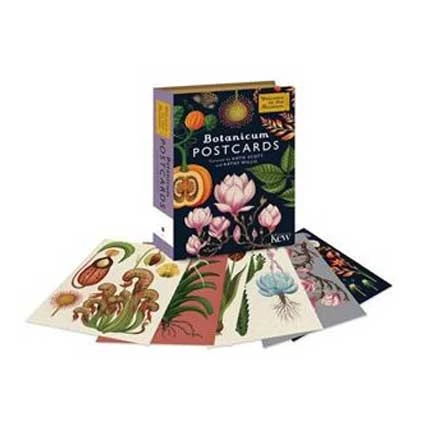 Bookspeed Books & Games Botanicum Postcard Set 5 Bookspeed Books & Games Botanicum Postcard Set