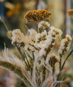 Atlas Flowers Dried Yellow Achillea Parker Flowers