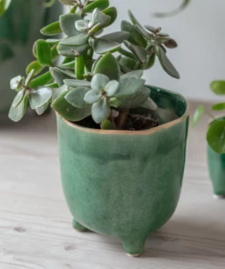 Garden Trading Positano Plant Pot With Feet