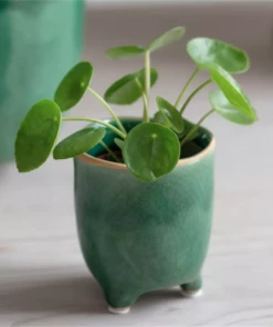 Garden Trading Positano Plant Pot With Feet