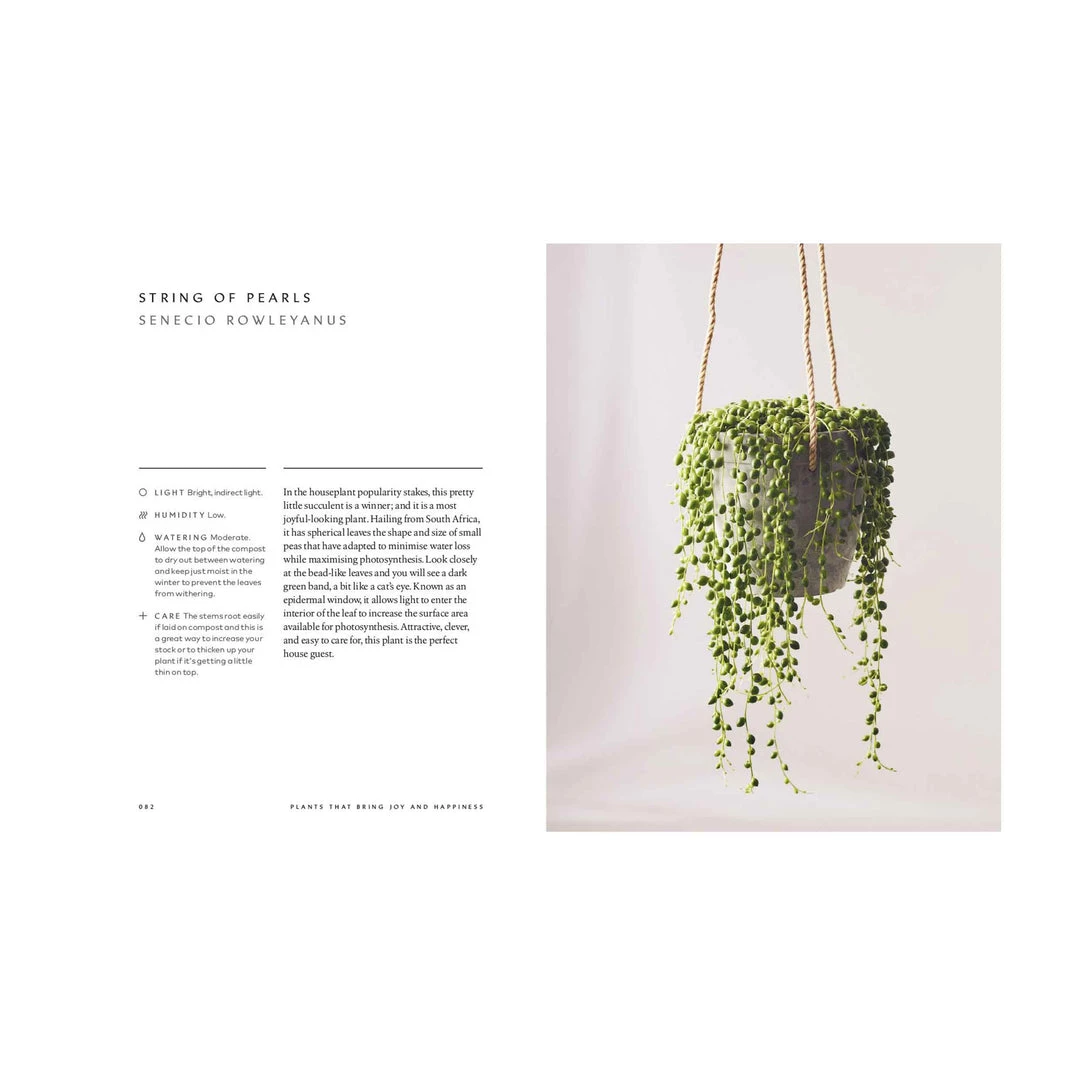 Bookspeed Plant Accessories & Care The Healing Power Of Plants Book 4 Bookspeed Plant Accessories & Care The Healing Power Of Plants Book