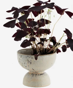 Madam Stoltz Wide Bowl Stoneware Plant Pot - Small, Soft Mustard Plant Pots