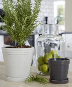 Wikholmform Astrid Plant Pot With Saucer (4 Sizes) Linen