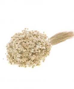 Atlas Flowers Dried Natural Marcela Flower Dried Flowers