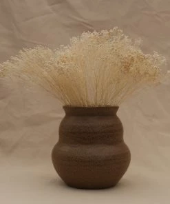 Atlas Flowers Dried Flowers Dried Broom Bloom (Various Colours)