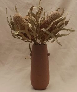 Second Flor Dried Banksia Hookerana