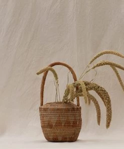 Atlas Flowers Dried Green Setaria Italica Dried Flowers