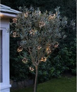 Lightstyle London Solar Outdoor Starburst Lights Summer Collection