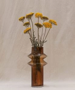 Atlas Flowers Dried Yellow Achillea Parker Flowers