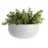 Present Time Oval White Ceramic Wall Planter Plant Pots 1 Present Time Oval White Ceramic Wall Planter Plant Pots