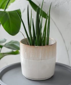 Garden Trading Hillesley White Half Mark Pot (various Sizes) Plant Pots