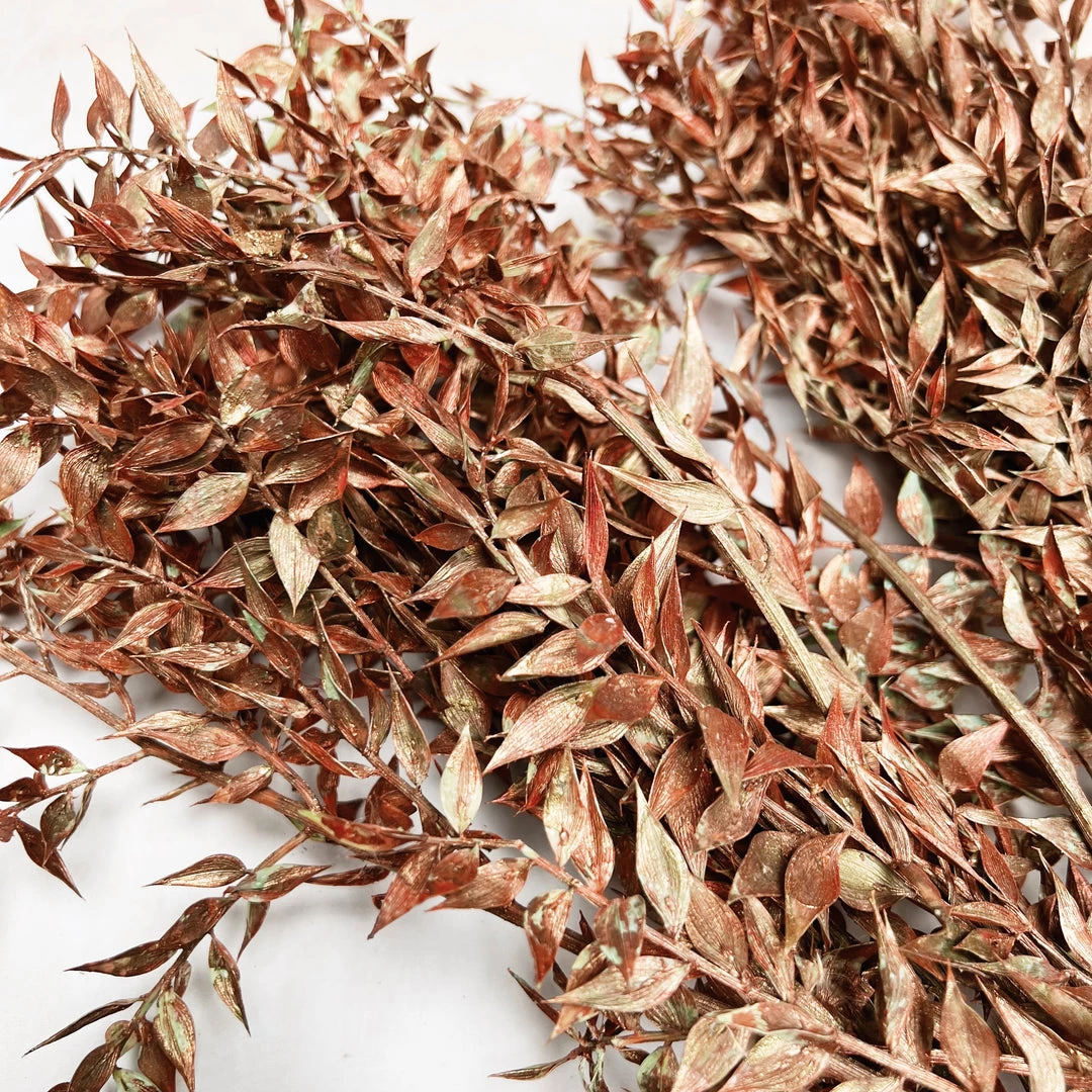 Atlas Flowers Preserved Bleached White Or Copper Ruscus Dried Flowers 8 Atlas Flowers Preserved Bleached White Or Copper Ruscus Dried Flowers