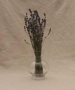 Atlas Flowers Dried Lavender Dried Flowers