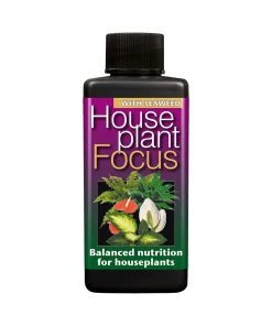 Growth Technology House Plant Focus Plant Feed Plant Accessories & Care