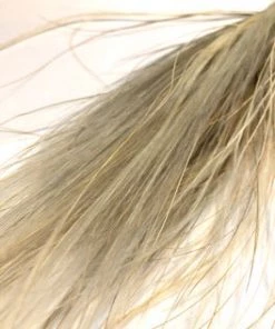 Atlas Flowers Dried Stipa Pennata Grass (various Colours)