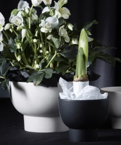 Wikholmform Summer Collection Megan Planter / Plant Pot (3 Sizes)