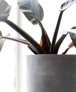 House Doctor Outdoor Cement Plant Pot Summer Collection