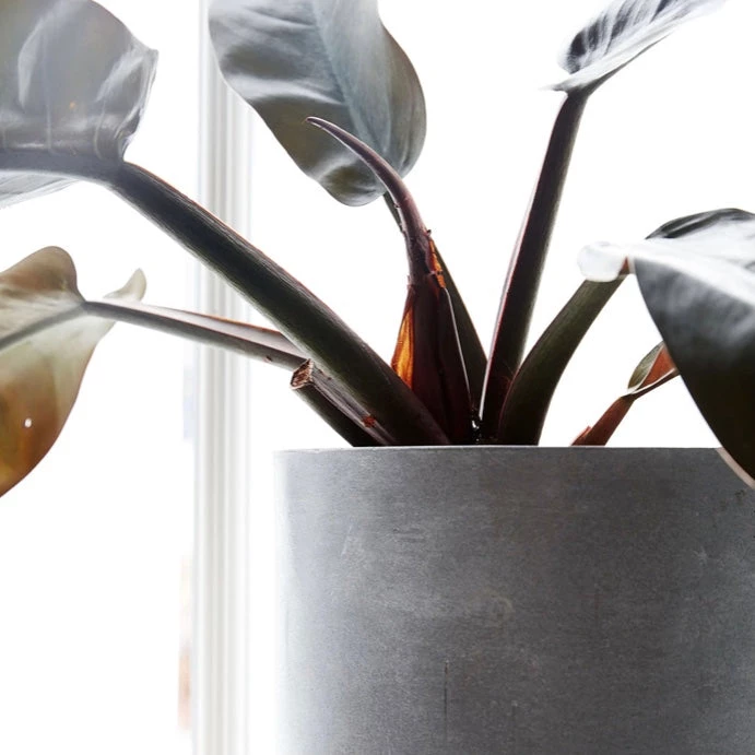 House Doctor Outdoor Cement Plant Pot Summer Collection 4 House Doctor Outdoor Cement Plant Pot Summer Collection