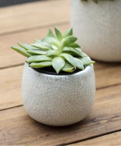 Garden Trading Plant Pots Ravello White Crackle Glaze Plant Pot