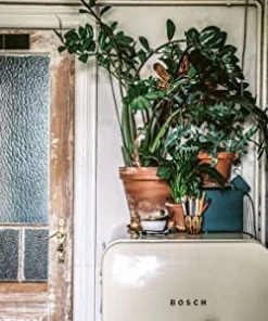 Cico Books Books & Games Wild Interiors Book