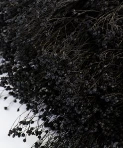 Atlas Flowers Dried Flowers Dried Broom Bloom (Various Colours)