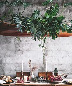 Cico Books Books & Games Wild Creations Book 9 Cico Books Books & Games Wild Creations Book