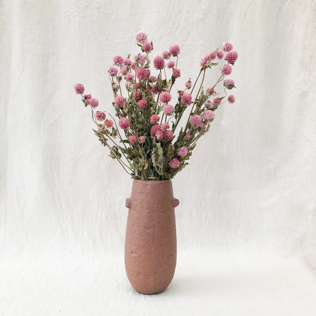 Atlas Flowers Dried Flowers Dried Pink Gomphrena 4 Atlas Flowers Dried Flowers Dried Pink Gomphrena