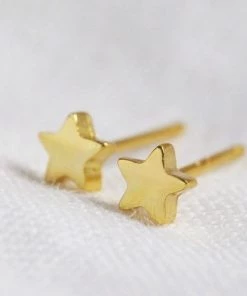 Lisa Angel Tiny Star Gold/Silver Plated Stud Earrings Women's Jewellery