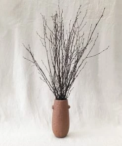 Atlas Flowers Natural Brown Dried Birch Dried Flowers