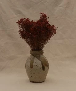 Atlas Flowers Dried Flowers Dried Broom Bloom (Various Colours)