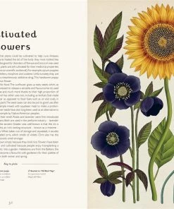 Bookspeed Books & Games BOTANICUM - Museum Art Book