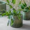 Garden Trading Plant Pots Nettleton Green Ceramic Glazed Pot (various Sizes) 1 Garden Trading Plant Pots Nettleton Green Ceramic Glazed Pot (various Sizes)