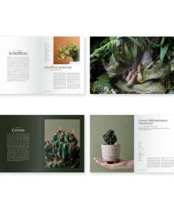 Bookspeed Books & Games Plantopedia Book