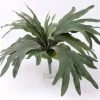 Atlas Flowers Dried Flowers Faux Staghorn Fern Plant