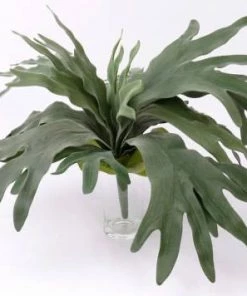 Atlas Flowers Dried Flowers Faux Staghorn Fern Plant